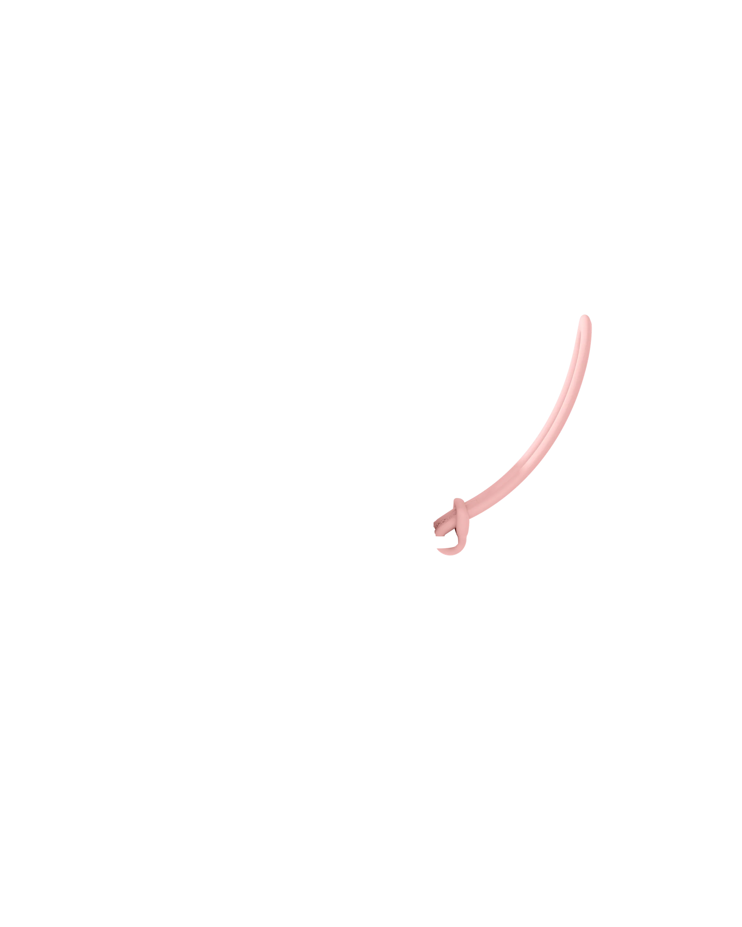 Strap - Image 25