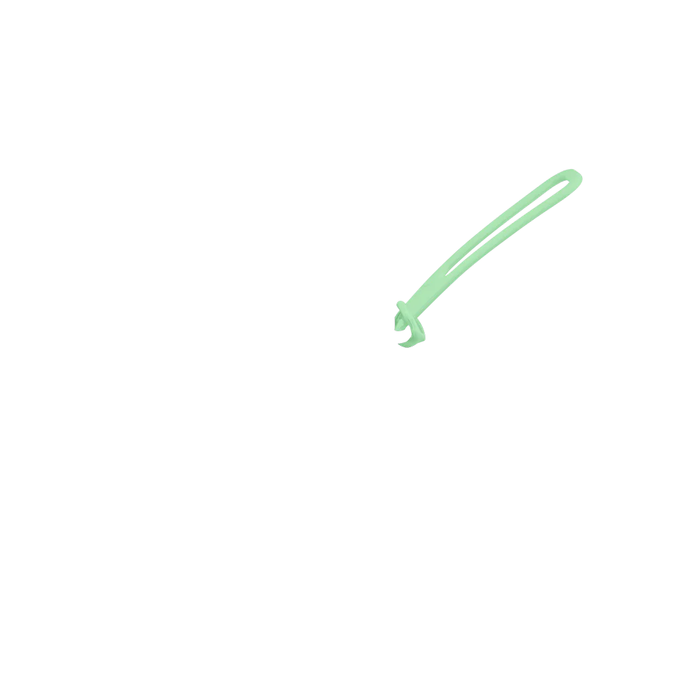 Strap - Image 72